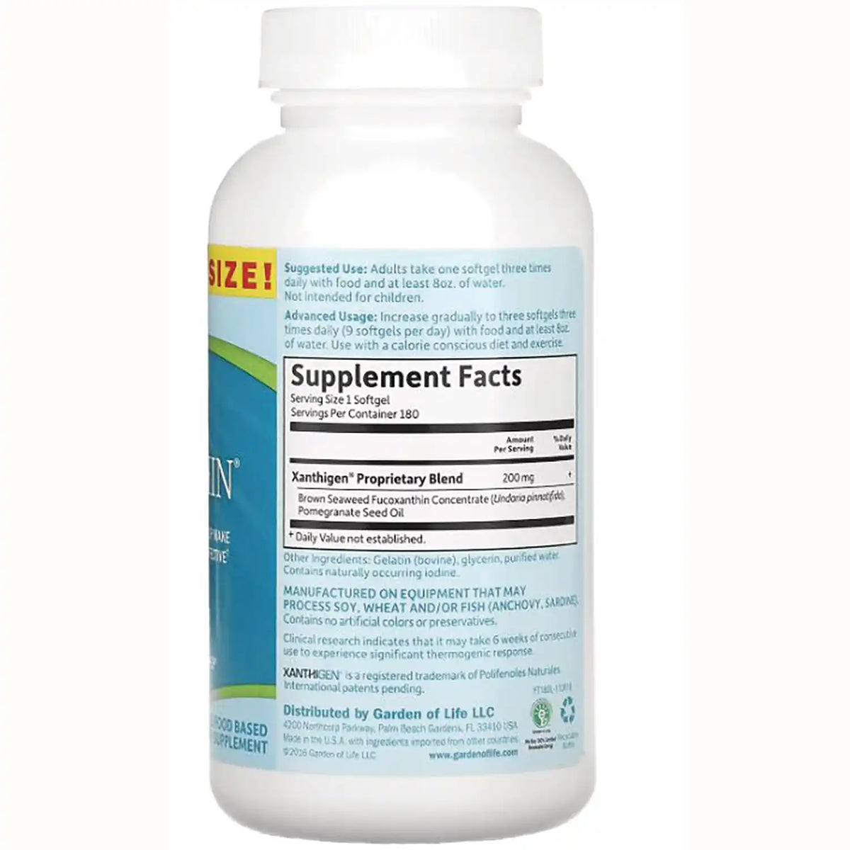 FucoTHIN