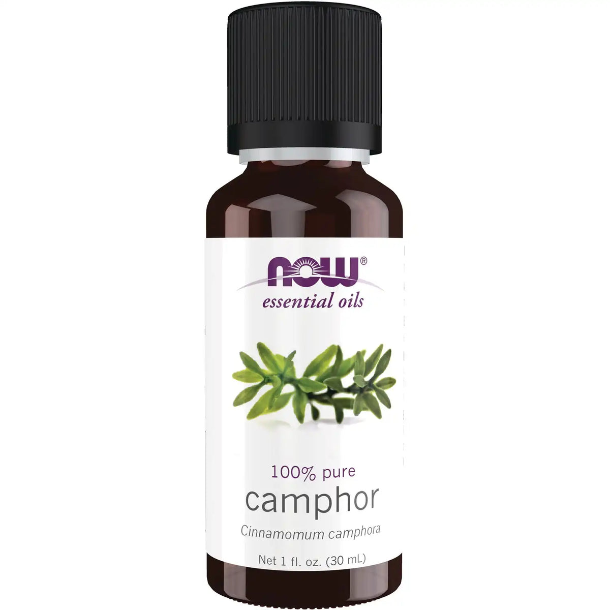 100% Pure Camphor