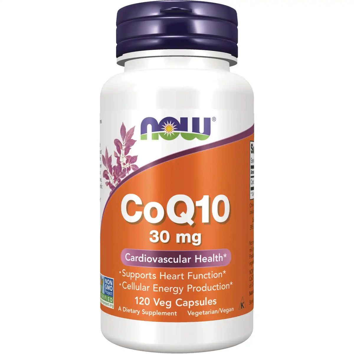 CoQ10