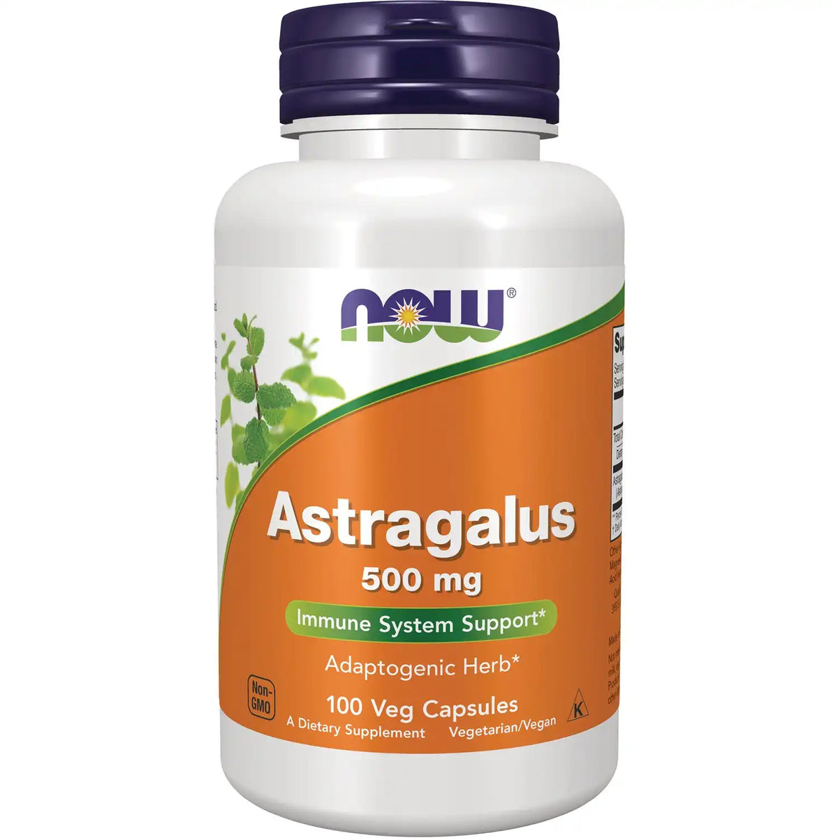 Astragalus