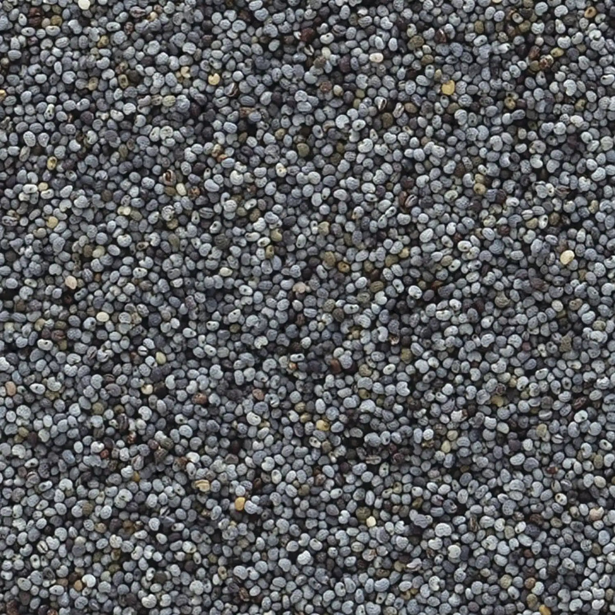 Organic Whole Poppy Seed